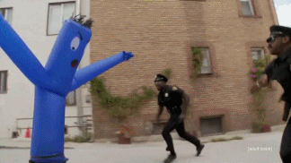 P8Fr79M.gif