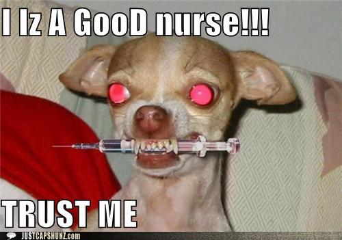 funnynursedog.jpg