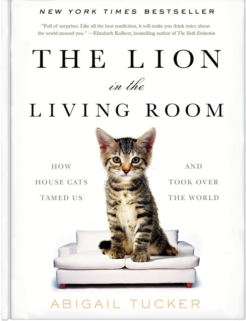 bookcover-nyt-flat.png