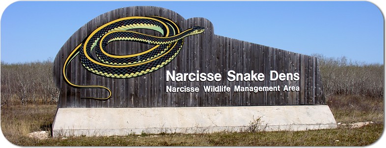 New_Sign.jpg