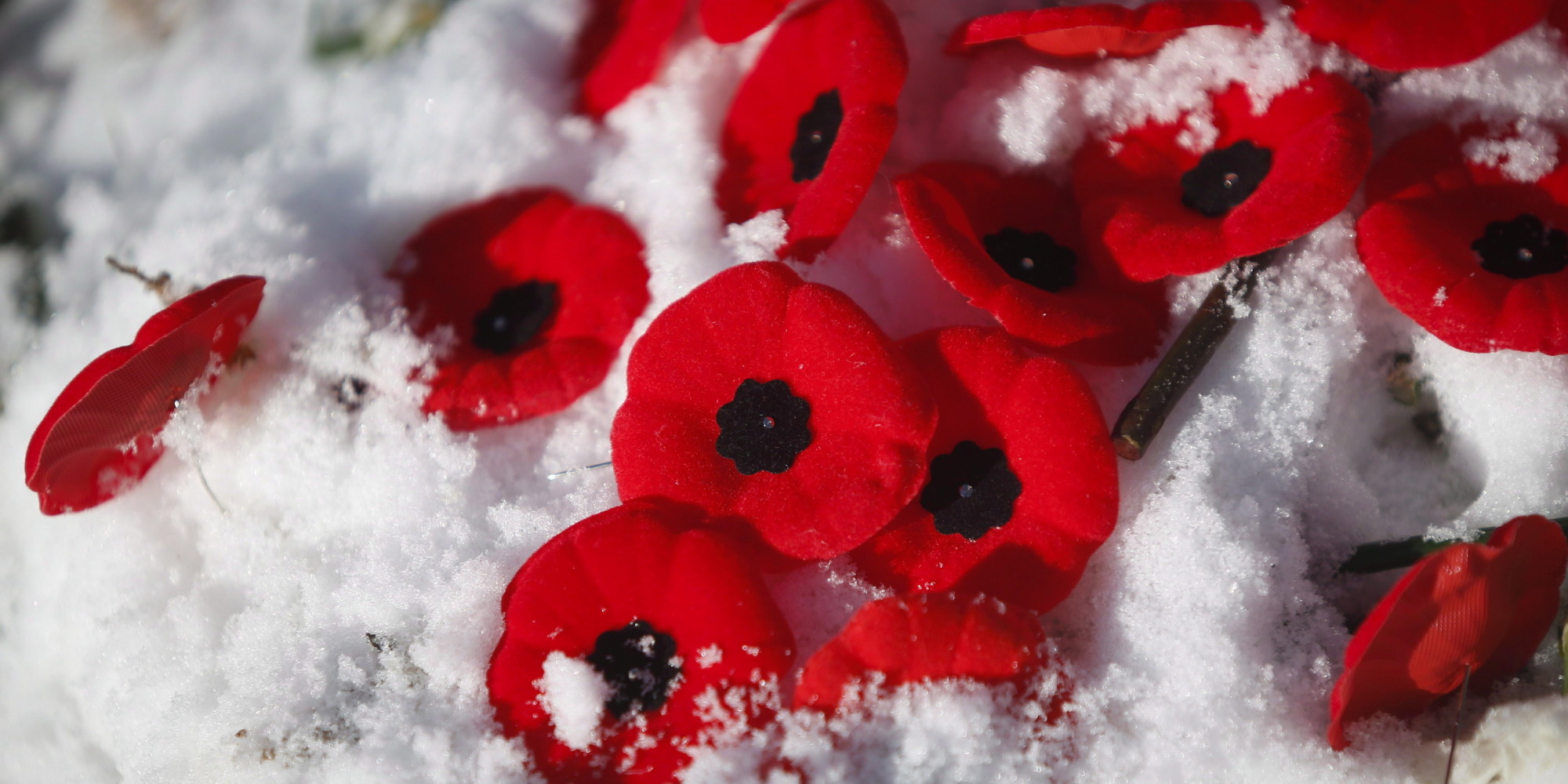 o-REMEMBRANCE-DAY-CANADA-facebook.jpg