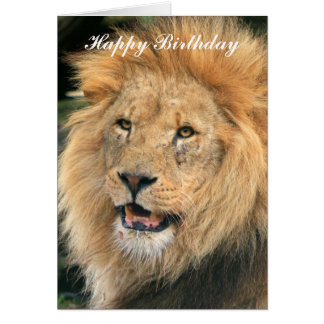 lion_head_male_beautiful_photo_happy_birthday_card-r991046b26c4441b1a19e08e6c411e212_xvuat_8byvr_324.jpg