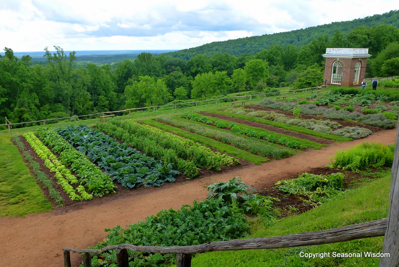 1-monticello-potager.jpg