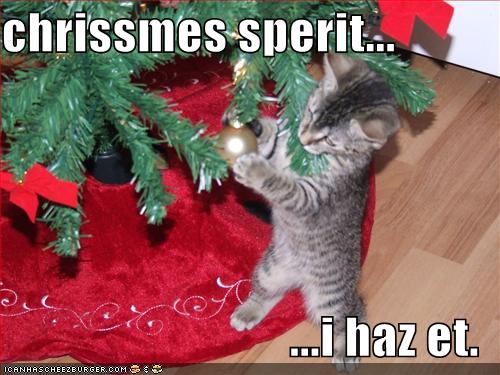 funny-pictures-little-kitten-has-christmas-spirit.jpg