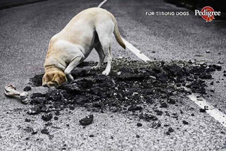 pedigree-commercial-very-funny-ads-dog-digging-in-road.jpg