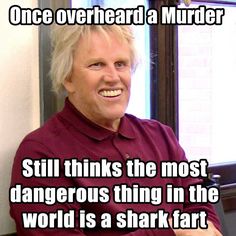 112a7f76419db8ea9eec5386a3b4749b--shark-jpg.jpg