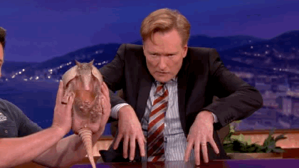 tumblr_n7dr29RLVF1qdqyxho1_500.gif