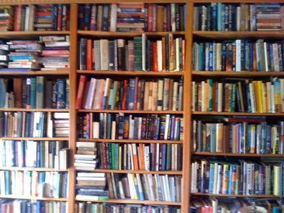 bookshelf-hill.jpg