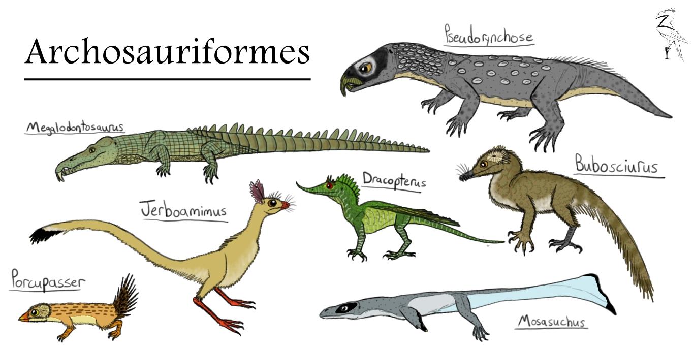 archosauriformes__mammalsaurs__crocs__and_dragons_by_zopteryx-d87h89v.jpg