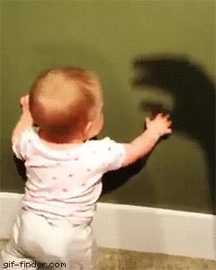 65ceb043759d20140e0018212f42f3ac.gif