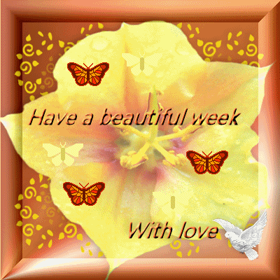Have-a-lovely-day-and-magical-new-week-Berni-yorkshire_rose-31243701-400-400.png