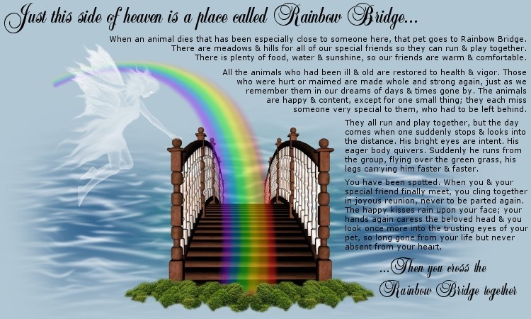 rainbow_bridge.jpg