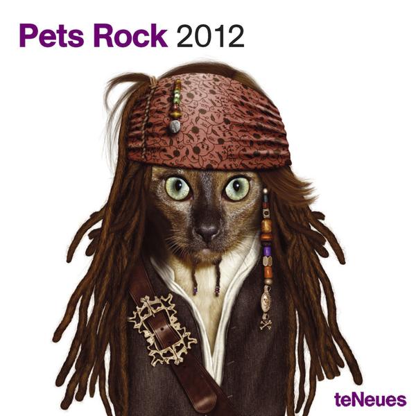 pets-rock.jpg