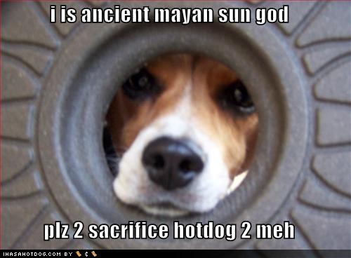 How Dog Became Man S Best Friend A Parable The