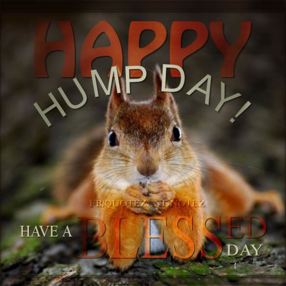 250361-Happy-Hump-Day-Have-A-Blessed-Day.jpg
