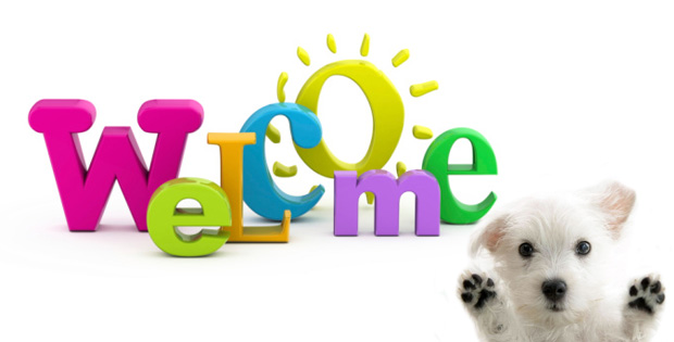 welcome3.jpg
