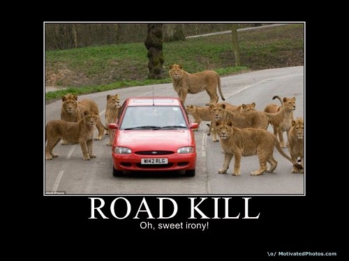 roadkill3.jpg