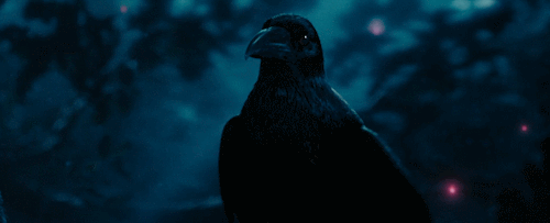 tumblr_nds5hoDcJh1ru3ug4o1_500.gif