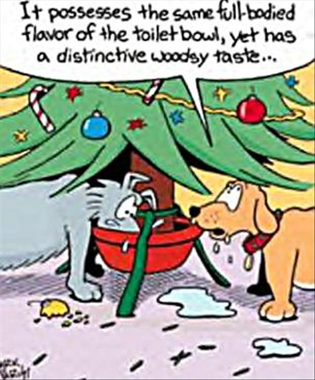 funny-christmas-comics-funny-pictures.jpg
