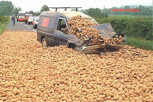 when-travel-goes-wrong-22.jpg