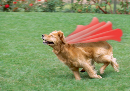 cape_final.jpg%3Fw%3D450%26h%3D315