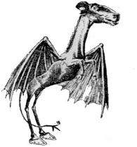 jersey-devil-195x210.jpg