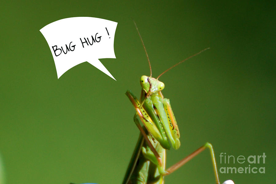 bug-hug-lila-fisher-wenzel.jpg