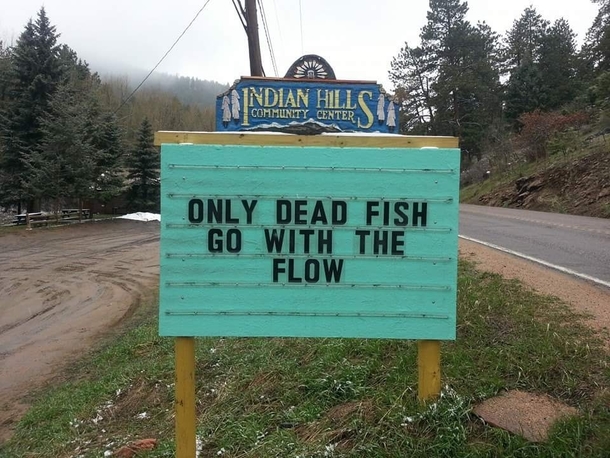 pic-3-this-small-town-in-colorado-indian-hills-has-a-very-sassy-community-board-218401.jpg