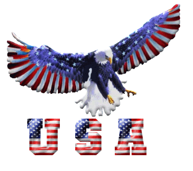 USA.gif