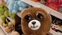 tenor.gif