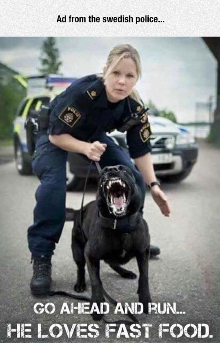2b2094dd5f24afb271a8d8c2563977d6--sweden-funny-swedish-police.jpg
