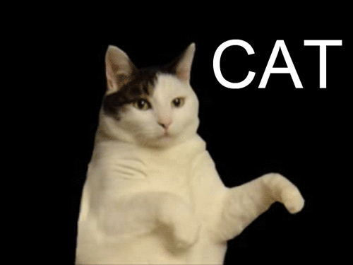 tumblr_myakbpYvVa1shf8zxo1_500.gif
