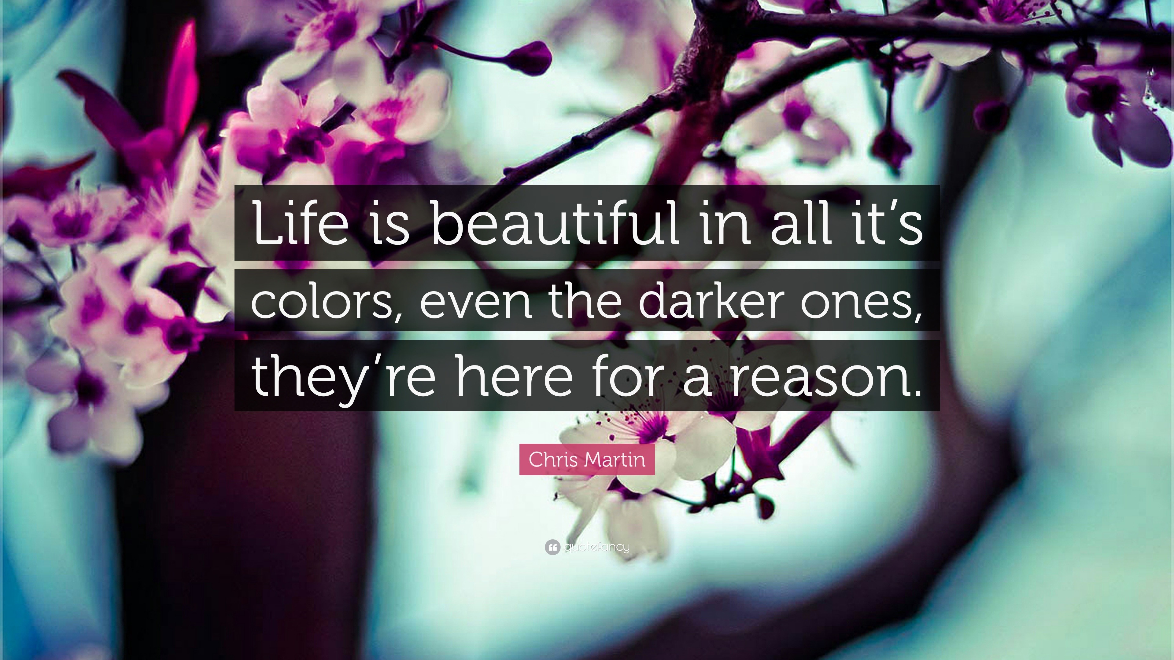 1013529-Chris-Martin-Quote-Life-is-beautiful-in-all-it-s-colors-even-the.jpg