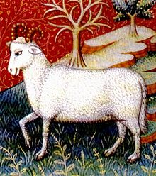 220px-Aries2.jpg