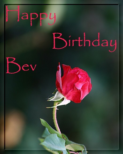 60729311.HappyBirthdayBev.jpg