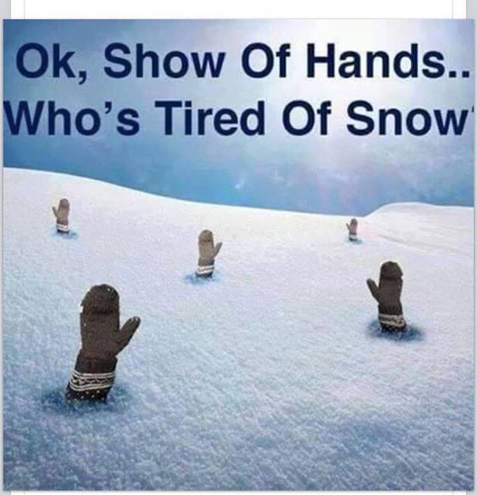snow-tired.jpg