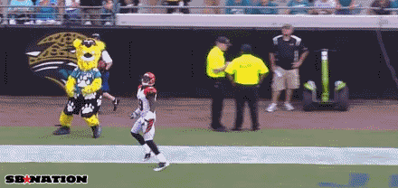 jagswag.gif