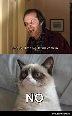 955cd5f75b7c1b5e4fc7432ec2582461--the-shining-cat-wall.jpg
