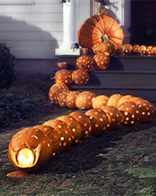 pumpkin+snake1.jpg