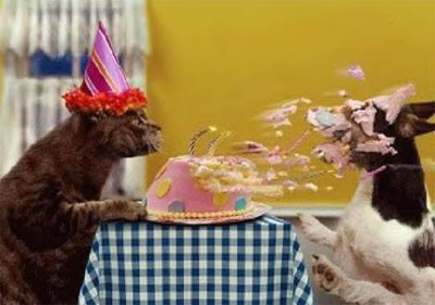 funny-cat-birthday-cake.jpg
