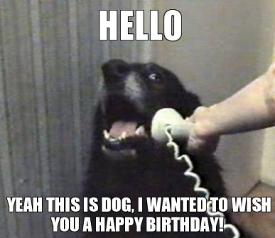 this-is-dog-happy-birthday-meme.jpg