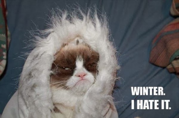grumpy-cat-meme-winter-i-hate-it-600x396.jpg