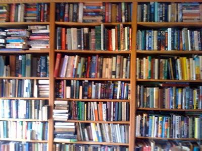 bookshelf-hill.jpg