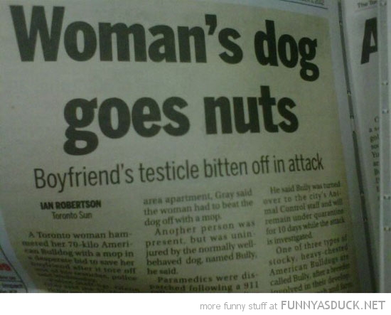 funny-womans-dog-goes-nuts-bites-testicle-news-report-pics.jpg