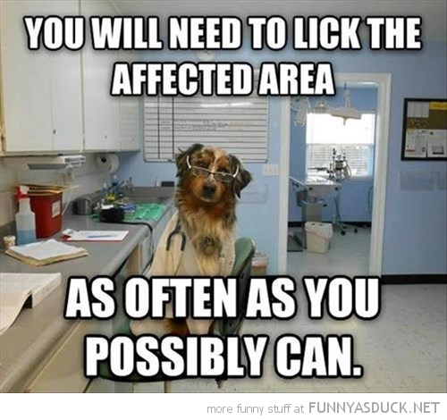 funny-pictures-doctor-dog-lick-affected-area.jpg