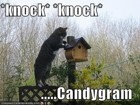 funny-pictures-cat-knocks-birdhouse.jpg