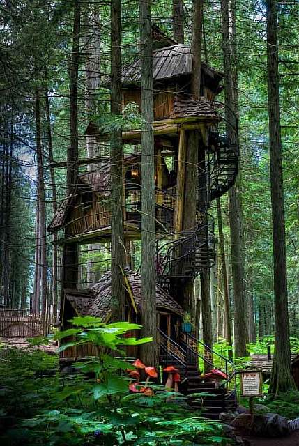 amazing-treehouses-4-600x895.jpg