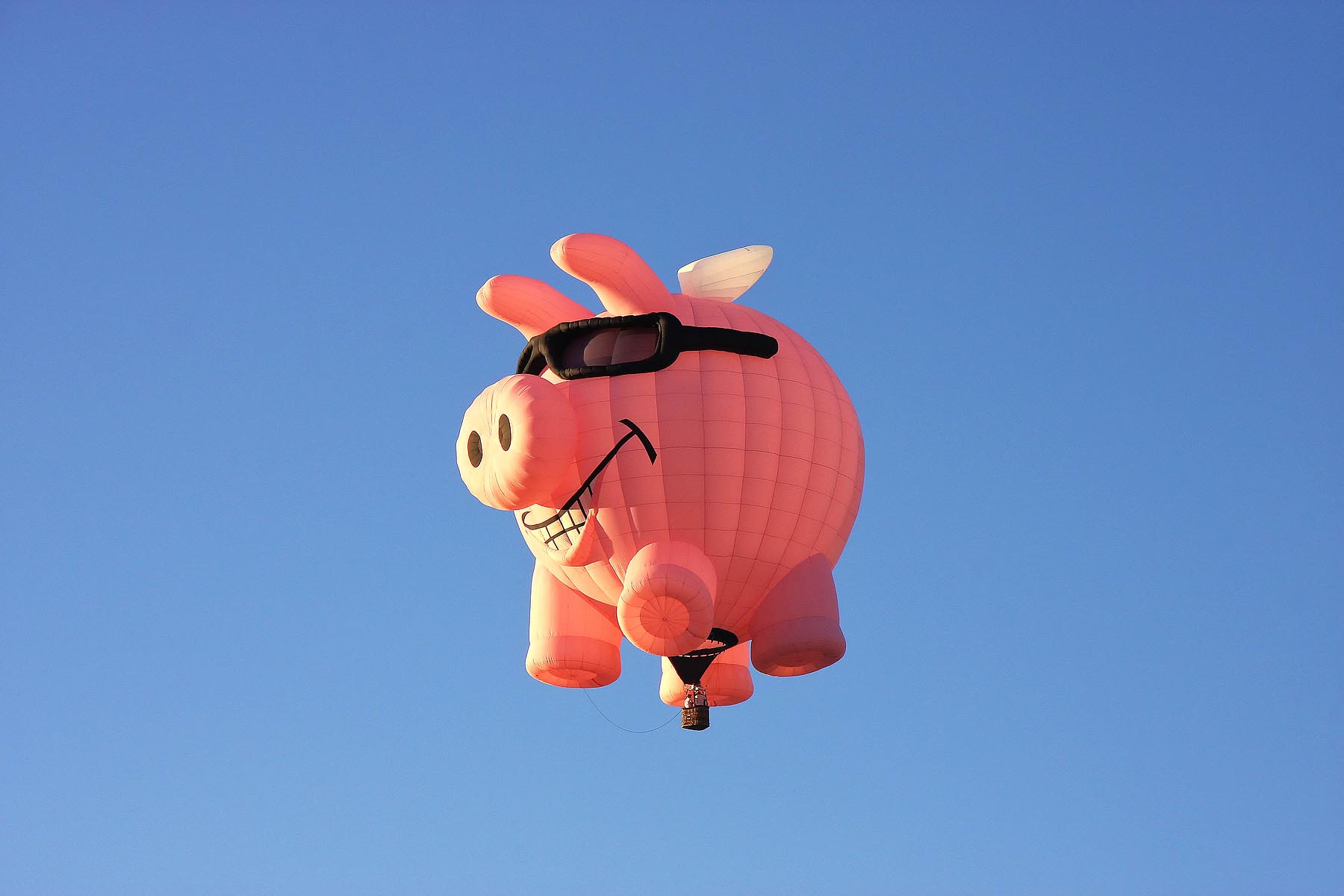 Pig-Balloon_small.jpg