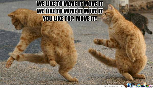 We-like-to-move-it-move-it-we-like-to-move-it-move-it-Dance-Meme.jpg