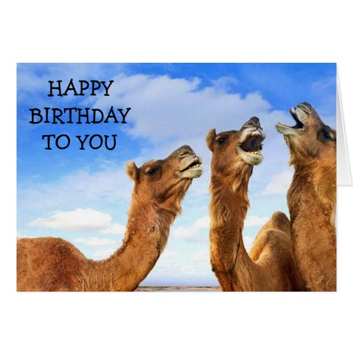 for_the_child_these_camel_sing_happy_birthday_card-r71d159871b7c4cf6aa334da39f5d444b_xvuak_8byvr_512.jpg